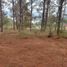  Land for sale in Patzcuaro, Michoacan, Patzcuaro
