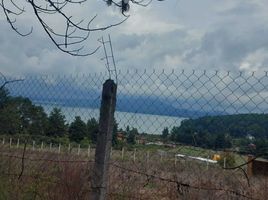  Land for sale in Patzcuaro, Michoacan, Patzcuaro