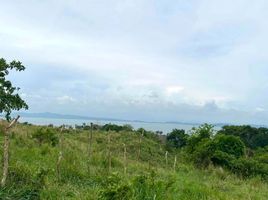  Land for sale in Pililla, Rizal, Pililla