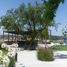  Terreno (Parcela) en venta en Huimilpan, Querétaro, Huimilpan