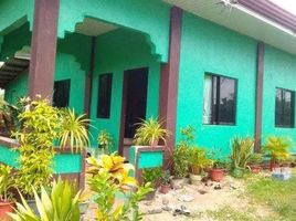 3 Schlafzimmer Villa zu verkaufen in Cebu, Central Visayas, San Remigio