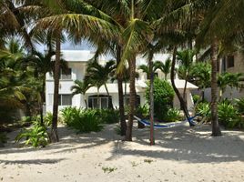 15 chambre Villa for sale in Quintana Roo, Cozumel, Quintana Roo