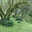  Land for sale in Charo, Michoacan, Charo
