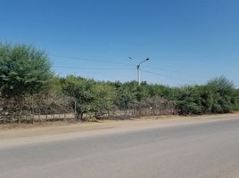  Terreno (Parcela) en venta en Morropón, Piura, La Matanza, Morropón