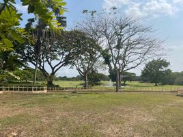  Land for sale in Trece Martires City, Cavite, Trece Martires City