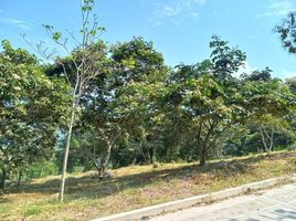  Land for sale in Santander, Piedecuesta, Santander