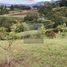  Land for sale in Marinilla, Antioquia, Marinilla