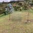  Land for sale in Marinilla, Antioquia, Marinilla