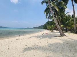  토지을(를) San Vicente, 팔라완에서 판매합니다., San Vicente
