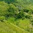  Land for sale in Sogod, Cebu, Sogod