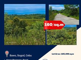  Land for sale in Sogod, Cebu, Sogod