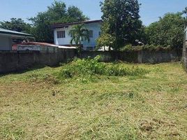  Land for rent in Las Pinas LRT-1, Las Pinas City, Las Pinas City