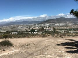  Grundstück zu verkaufen in Ajacuba, Hidalgo, Ajacuba, Hidalgo