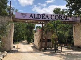  Grundstück zu verkaufen in Cozumel, Quintana Roo, Cozumel