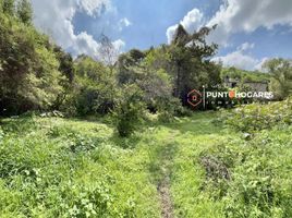  Land for sale in Tarimbaro, Michoacan, Tarimbaro