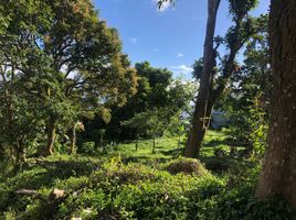  Land for sale in Cavite, Calabarzon, Tagaytay City, Cavite