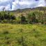  Land for sale in Paute, Azuay, Chican Guillermo Ortega, Paute