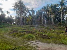  Grundstück zu verkaufen in Surigao del Norte, Caraga, Del Carmen, Surigao del Norte