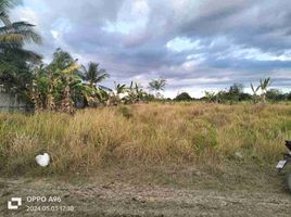  Land for sale in Bogo City, Cebu, Bogo City