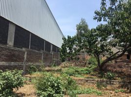  Terreno (Parcela) en venta en Iztapalapa, Ciudad de México, Iztapalapa