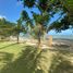  Land for sale in Palawan Mimaropa, Puerto Princesa City