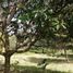  Land for sale in Island Garden Samal City, Davao, Island Garden Samal City, Davao del Norte