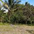  Terrain for sale in Island Garden Samal City, Davao del Norte, Island Garden Samal City