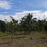  Terrain for sale in Island Garden Samal City, Davao del Norte, Island Garden Samal City