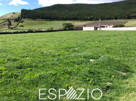  Terreno (Parcela) en venta en Cayambe, Pichincha, Cayambe, Cayambe