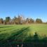  Land for sale in Niquen, Nuble, Niquen, Punilla