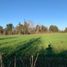  Terreno (Parcela) en venta en Ñuble, Niquen, Punilla, Ñuble
