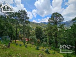  Land for sale in Mineral Del Chico, Hidalgo, Mineral Del Chico