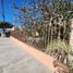  Land for rent in Culiacan, Sinaloa, Culiacan, Sinaloa