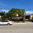  Land for rent in Culiacan, Sinaloa, Culiacan, Sinaloa