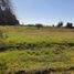  Land for sale in Chile, Longavi, Linares, Maule, Chile
