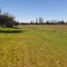  Land for sale in Chile, Longavi, Linares, Maule, Chile