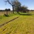  Land for sale in Chile, Longavi, Linares, Maule, Chile