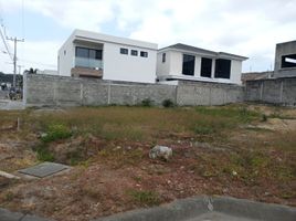  Terreno (Parcela) en venta en Daule, Guayas, Daule, Daule