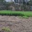  Land for sale in Cuenca, Azuay, Cuenca, Cuenca