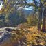  Land for sale in Mineral Del Chico, Hidalgo, Mineral Del Chico