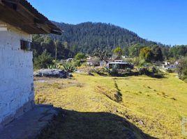  Land for sale in Mineral Del Chico, Hidalgo, Mineral Del Chico