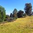  Land for sale in Mineral Del Chico, Hidalgo, Mineral Del Chico