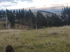  Terreno (Parcela) en venta en Ambato, Tungurahua, Ambato, Ambato