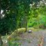  Terrain for sale in Island Garden Samal City, Davao del Norte, Island Garden Samal City