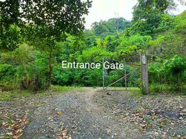  Land for sale in Davao del Norte, Davao, Island Garden Samal City, Davao del Norte