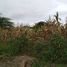  Land for sale in San Vicente Manabi, San Vicente, San Vicente