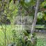  Land for sale in Chile, San Felipe, San Felipe De Aconcagua, Valparaiso, Chile