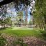  Land for sale in Chile, San Felipe, San Felipe De Aconcagua, Valparaiso, Chile