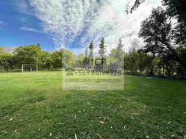  Land for sale in Chile, San Felipe, San Felipe De Aconcagua, Valparaiso, Chile