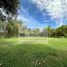  Land for sale in Chile, San Felipe, San Felipe De Aconcagua, Valparaiso, Chile